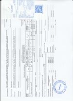 Кассовые чеки с подтверждением в Домодедово