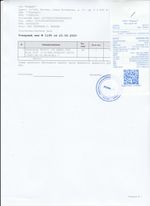 Кассовые чеки с подтверждением в Домодедово